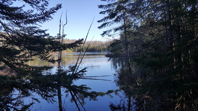 Lac dans le parc de la forêt Ouareau