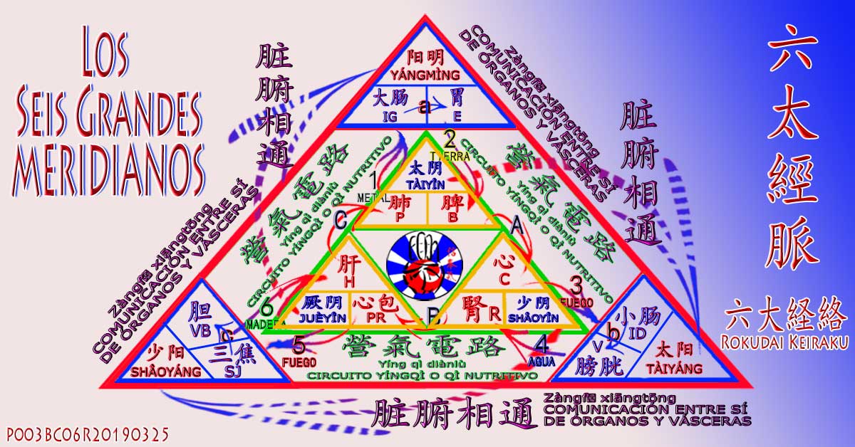 LOS SEIS GRANDES MERIDIANOS y el YING QI