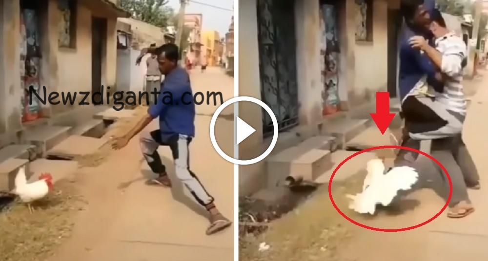“கோழியிடம் தன் வீரத்தை காமித்தவன்.. இறுதியில் செம போடு போட்ட கோழி ..!! “கோழியிடம் தன் வீரத்தை காமித்தவன்.. இறுதியில் செம போடு போட்ட கோழி ..!!