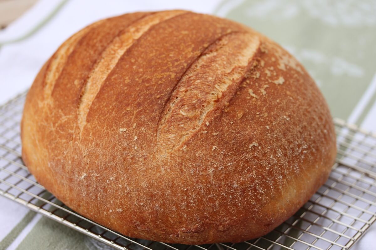 Basic Sourdough Bread for Beginners