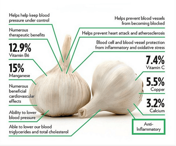 Image result for garlic health benefits