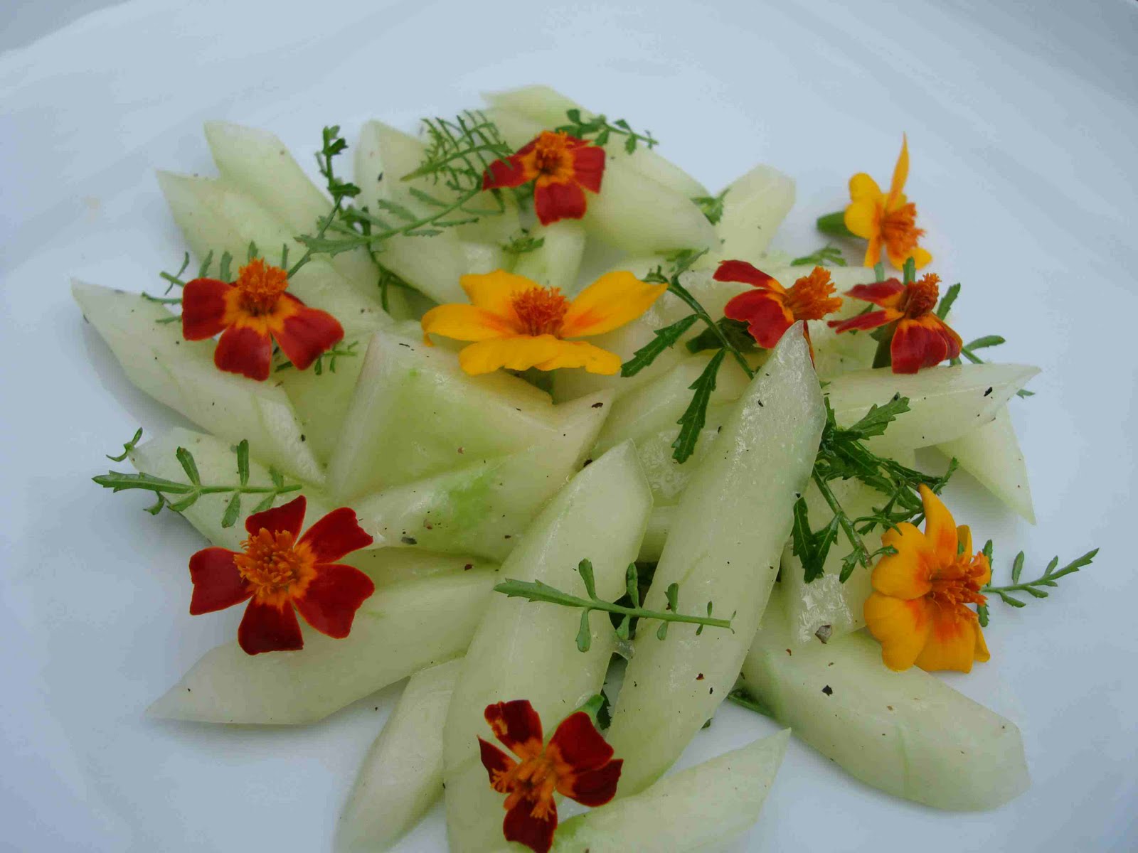 bushcooks kitchen: Gurken-Blüten-Salat