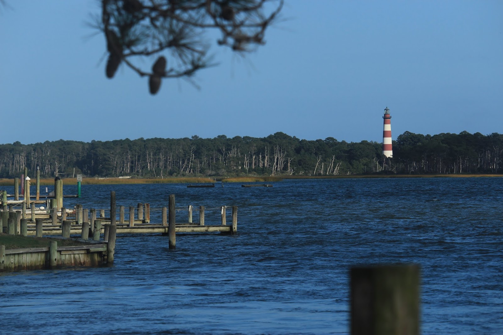 Home Joys 10 Free Things to do at Chincoteague Island