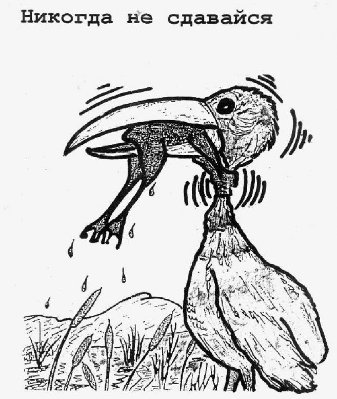 никогда не сдавайся лягушка и цапля. не сдавайся лягушка цапля. никогда не сдаваться рисунок. никогда не сдавайся лягушка и цапля. лягушка душит цаплю никогда не сдавайся.