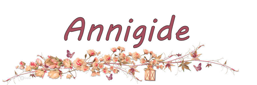 Annigide