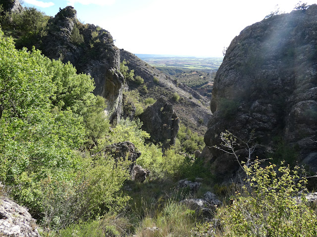 LA HOZ MENOR EN LA SIERRA DE BASCUÑANA
