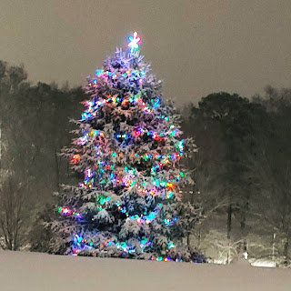 Outside Christmas tree in a park in Southern snow