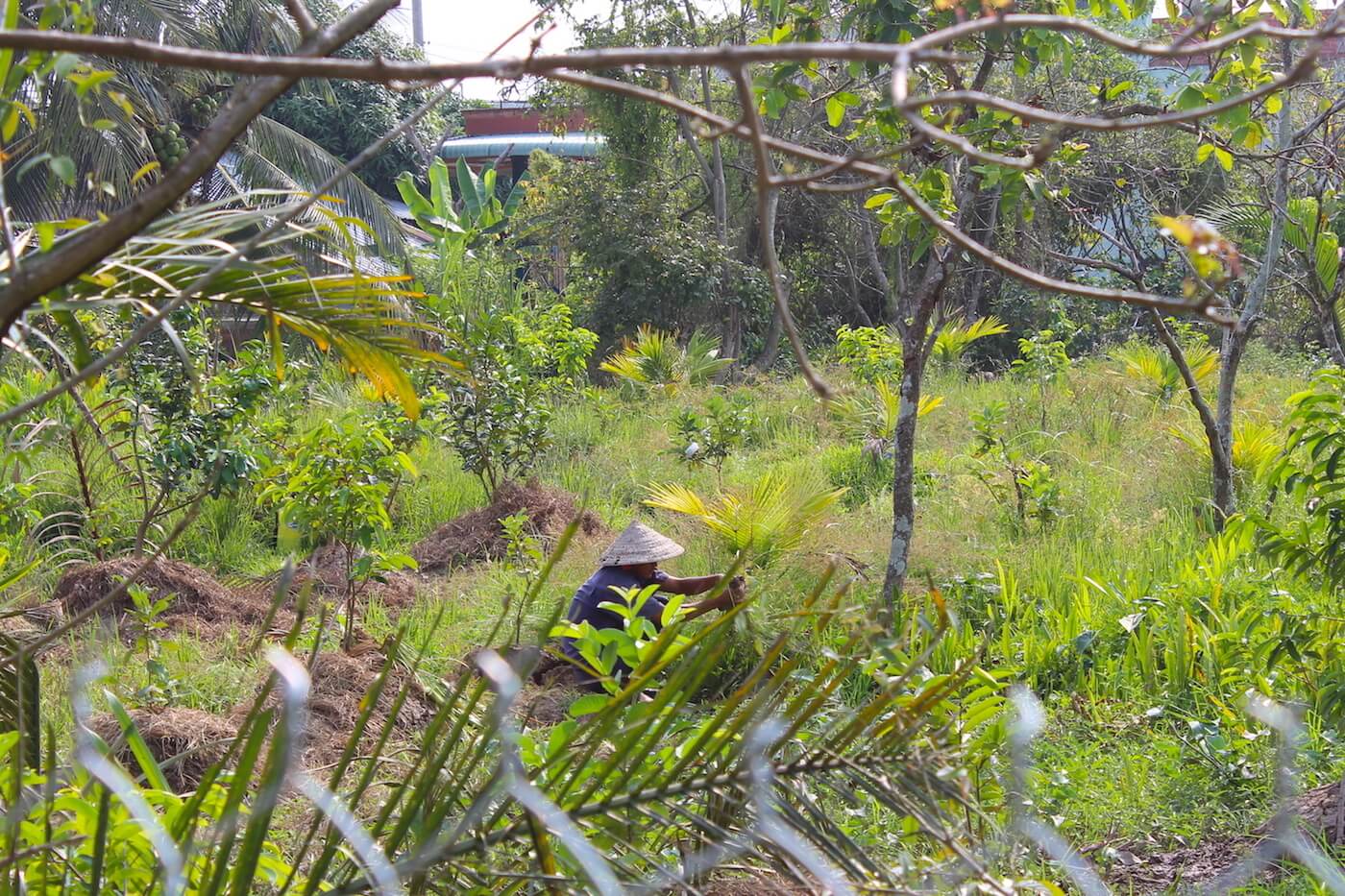 vietnamese farmer near the mekong delta