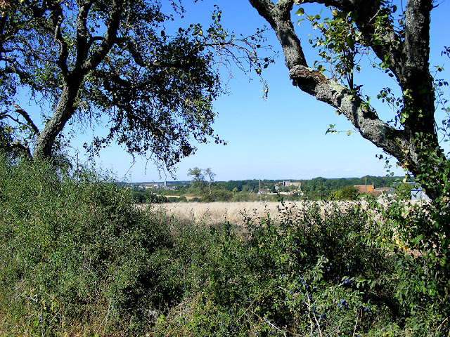 The medieval chateaux of Le Grand Pressigny and Etableau in the distance, Indre et Loire. France. Photo by Loire Valley Time Travel. The medieval chateaux of Le Grand Pressigny and Etableau in the distance, Indre et Loire. France. Photo by Loire Valley Time Travel.