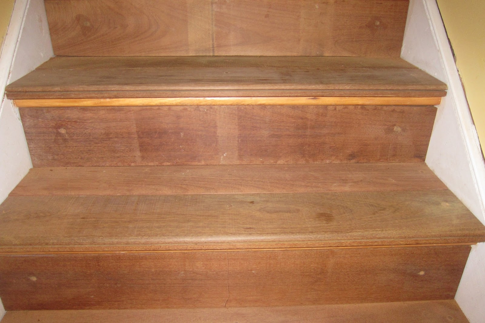 My Life - Mi Vida: El Sótano Y La Escalera