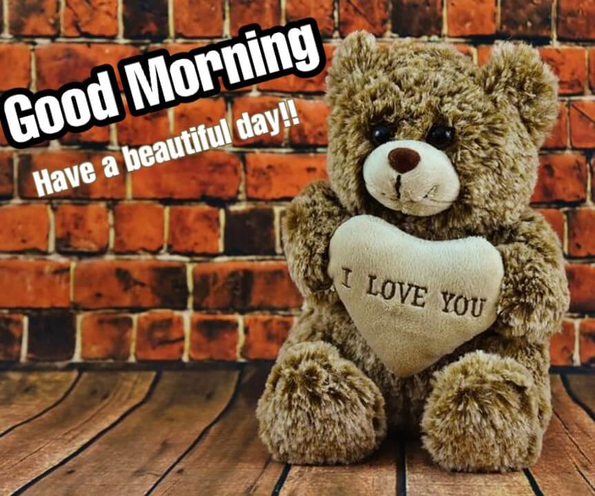 TEDDY BEAR GOOD MORNING IMAGES PICTURES WALLPAPER FREE DOWNLOAD - Best