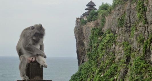 Pura Hutan Kera Suci Uluwatu - Pecatu, Badung, Denpasar, Bali, Liburan, Wisata, Restoran, Atraksi, Objek Wisata