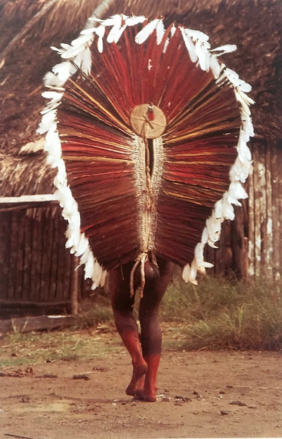 Photographs exhibition photo exposition 1992 Tervuren Indiens d'Amazonie Amazon Indians tribal shaman magic ceremony trance ritual spirits ancestors