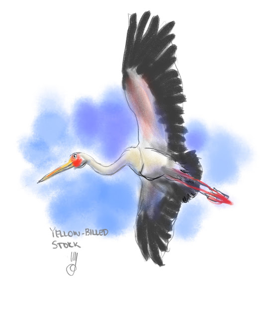 Yellow-billed stork by Ulf Artmagenta