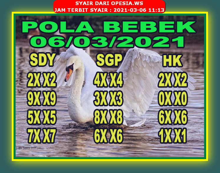 forum syair sgp