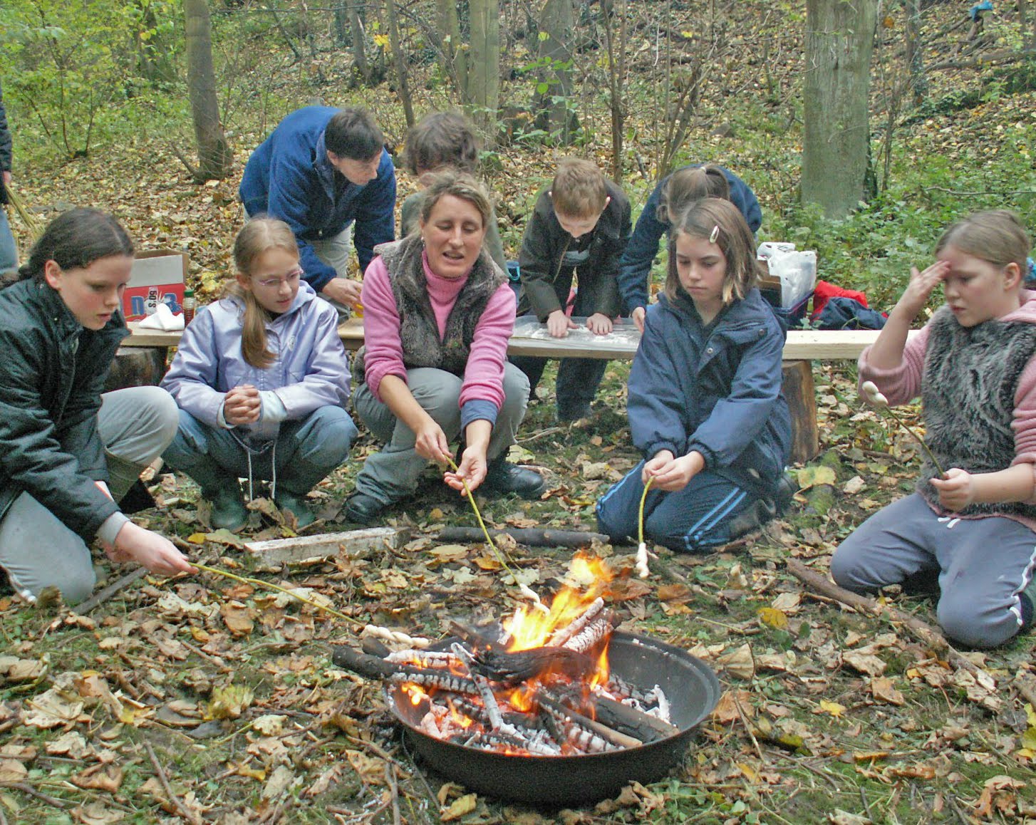 Download this Forest School picture