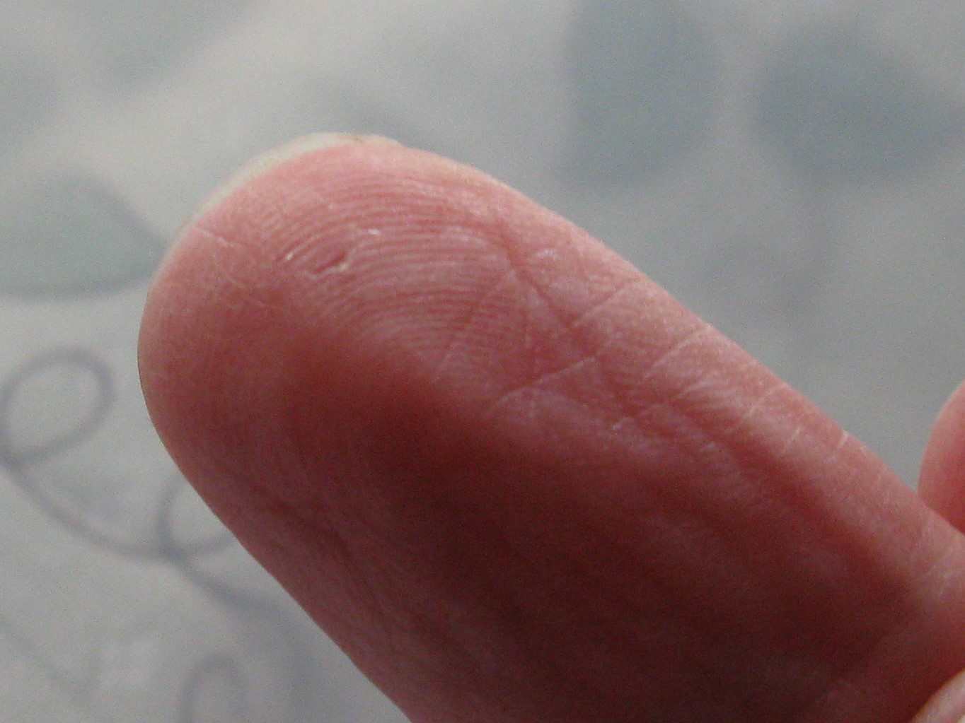 Vireya's Blog Holes in Things