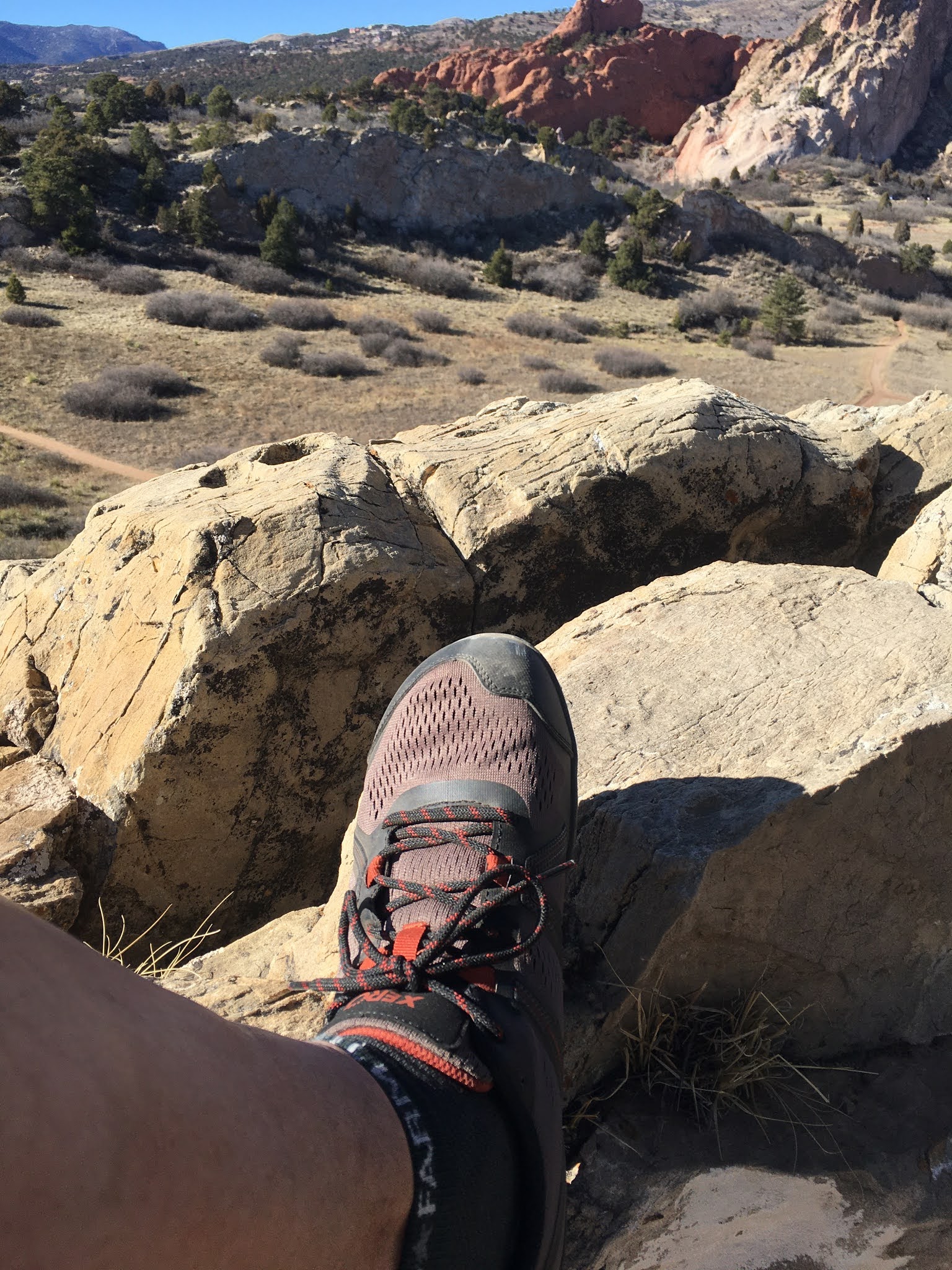 Mesa Trail Shoes - Men's