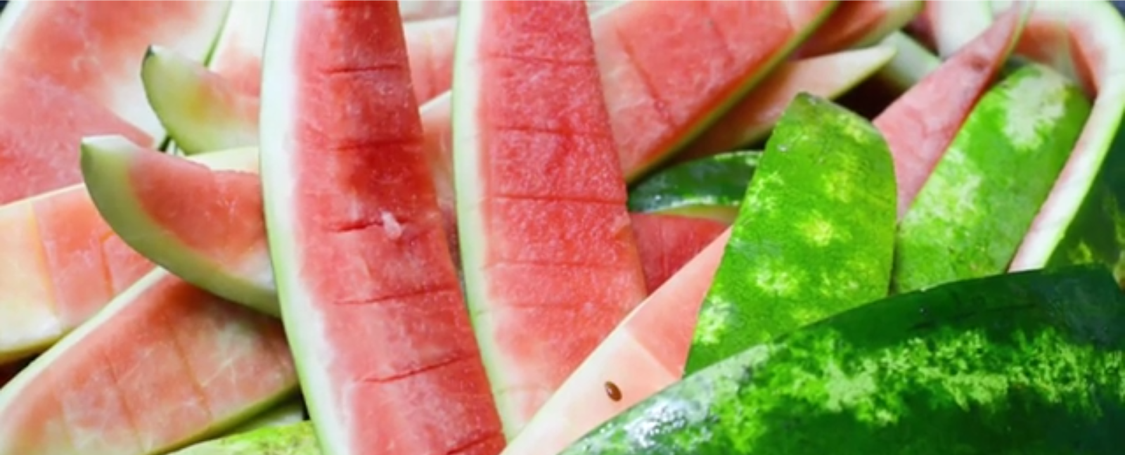 Facts to Know Before Giving Watermelon to Dogs