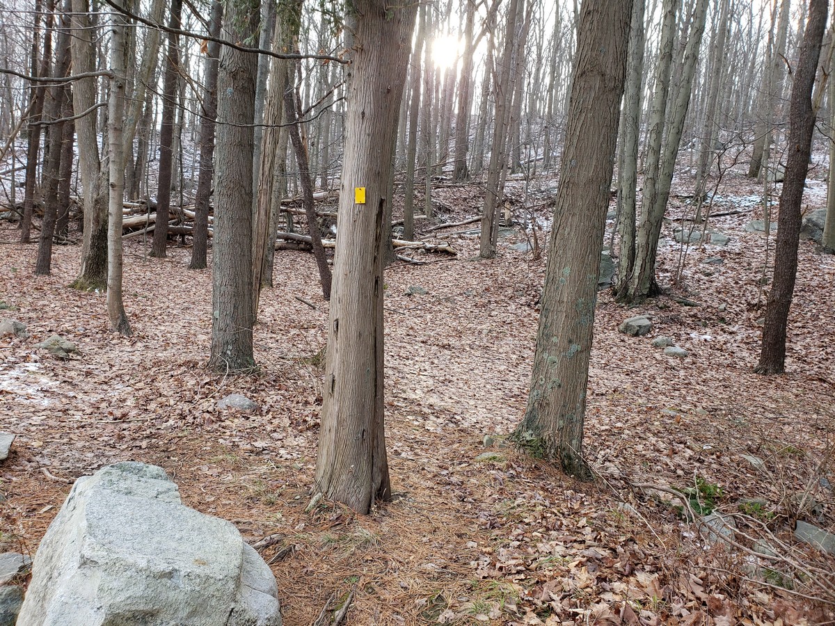 Harriman Hiker Harriman State Park and Beyond