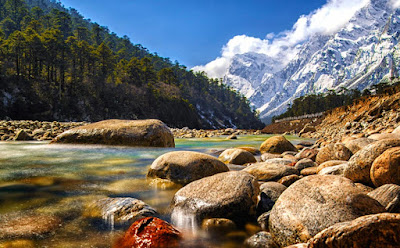 Yumthang valley Package Tour