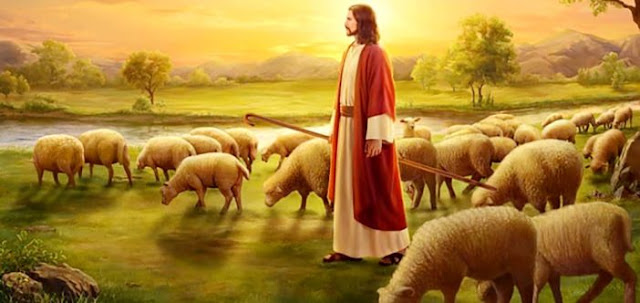 “Tôi đến để cho chiên được sống và sống dồi dào”– Suy niệm ngày 13.05.2019