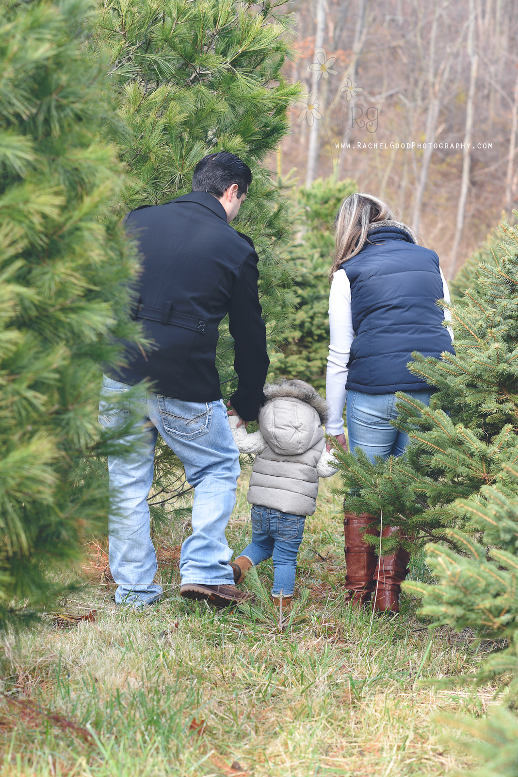 rachel good photography Valley View Swan Farm; Gemma's Family