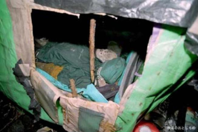 لماذا سُميت بغابة الانتحار؟ لماذا سُميت بغابة الانتحار؟