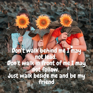 friendship quotes for whatsapp dp