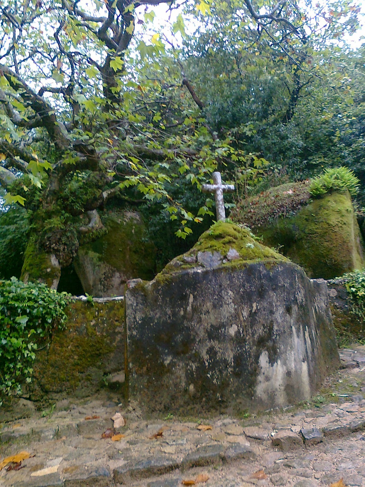 Queria de ti: Convento dos Capuchos - Sintra, Portugal