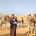 ابو ركبة يشارك بسهم الرميلات و سيناء في سباق الهجن بشرم الشيخ
