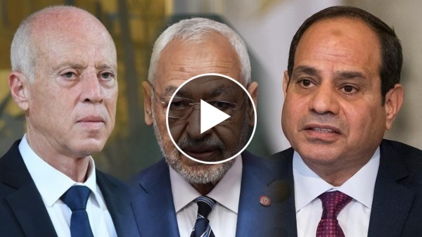 تداعيات اللقاء مع الرئيس المصري: قرارات جديدة يعلنها الرئيس قيس سعيد بخصوص حركة النهضة في تونس
