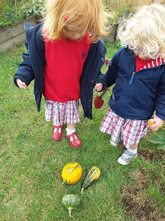 Harvesting the Squash!, Copthill School