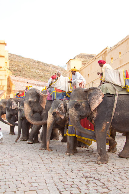 Amer Fort or Amber Fort Jaipur Rajasthan India Royalty Free Stock Images pictures