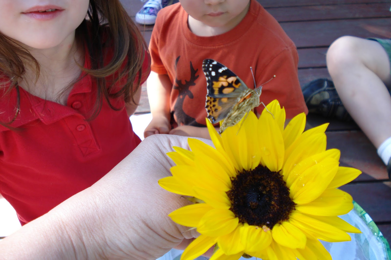 Heidi's Montessori Preschool and Daycare in Tigard, Oregon