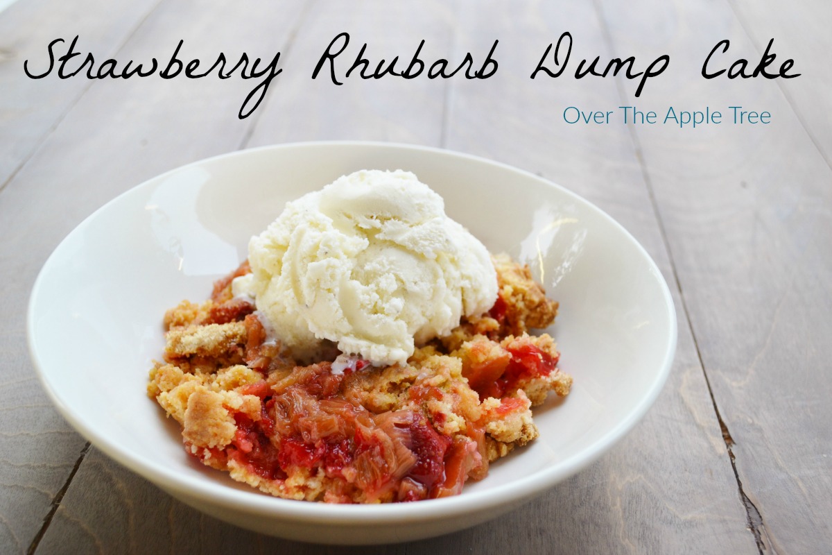 Over The Apple Tree Strawberry Rhubarb Dump Cake