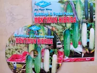 LMGA AGRO, PERTANIAN, BIBIT, BENIH, HIBRIDA, UNGGUL, PETANI