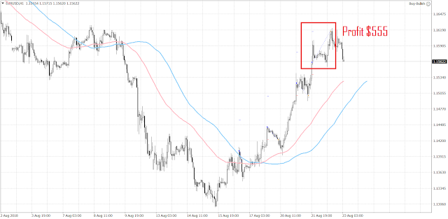 The EURUSD Advanced Further against the U.S. Dollar amid Trump's Legal Problems 1 1024 The recovery of the EURUSD was strong from 1.13.  It reached as high as 1.1616.
