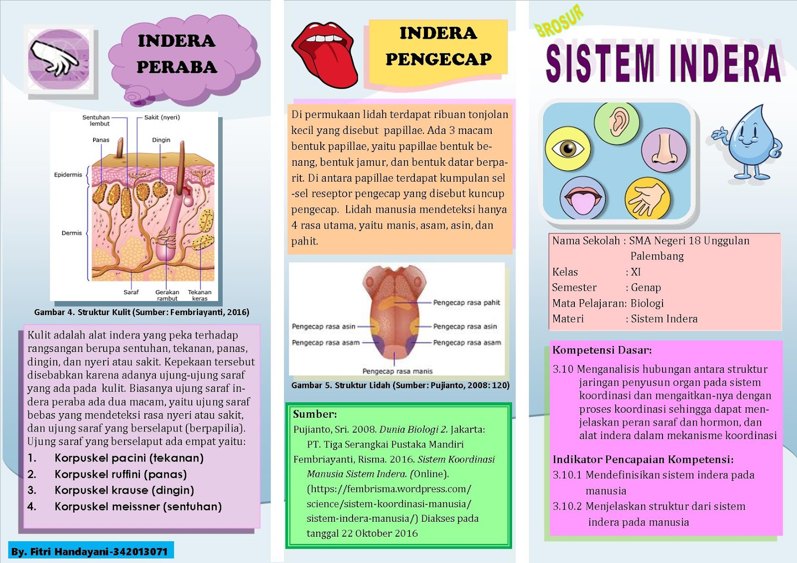 Brosur Sistem Indera Dan Poster  Sistem Pencernaan  Tugas Pba