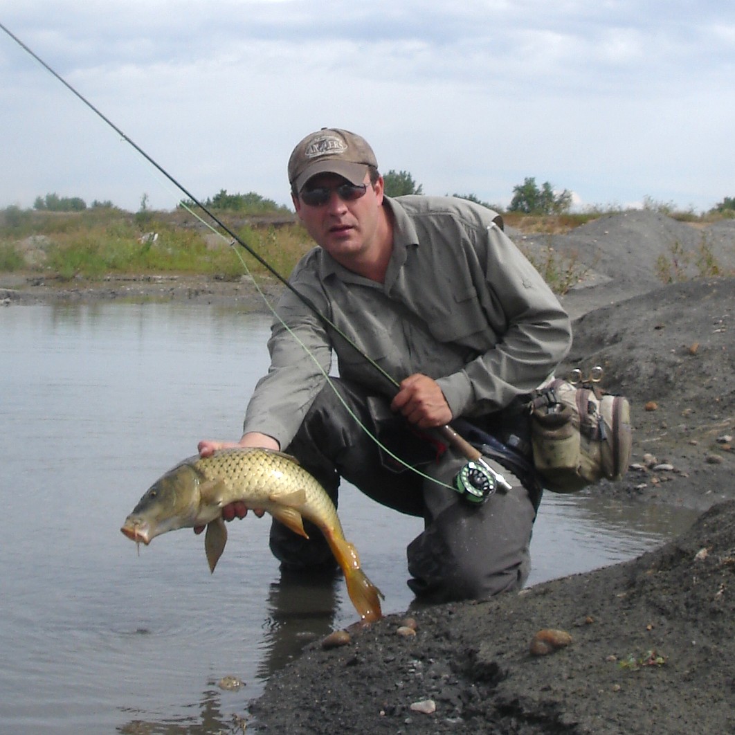 Colorado Fly Fishing Reports Skinny Water Carp (i.e. Late Season)