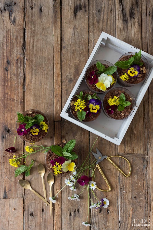 Mousse de doble chocolate