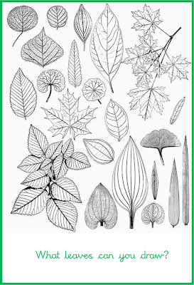 Year 2: Art - Drawing Leaves