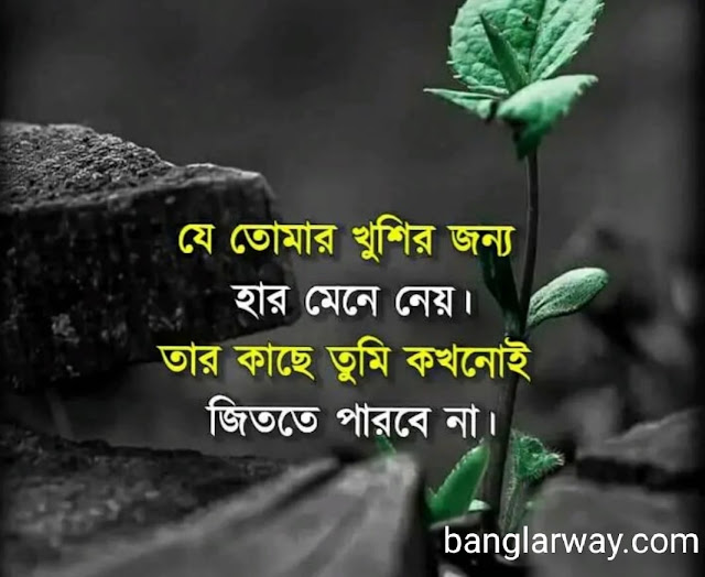 Top Collection Bangla Shayari || Bengali Shayari photo