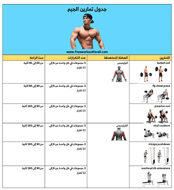 جدول تمارين تضخيم العضلات