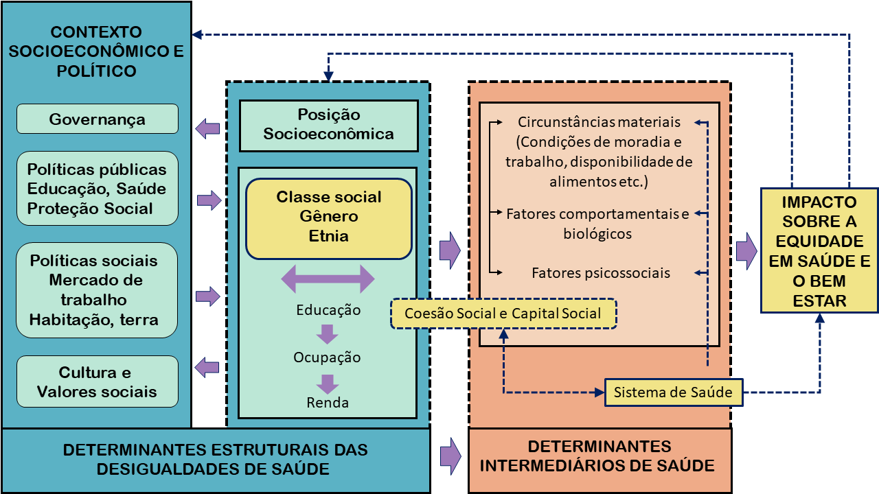 Determinantes Sociais da Saúde (continuação) A Coletiva Saúde Determinantes Sociais da Saúde (continuação) A Coletiva Saúde