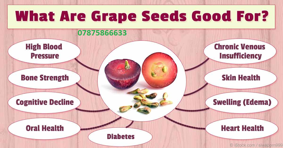Proyoung Magic: Grape Seed Extract health benefits