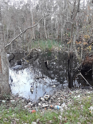 wetland pollution
