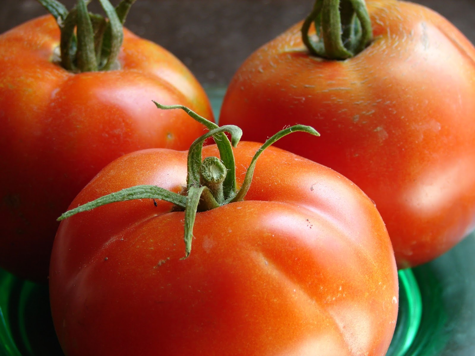 New Utah Gardener Tomato Harvest 2017! Time for pico de gallo!