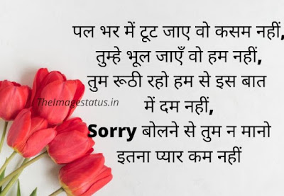 Sorry Images For Love In Hindi