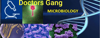 Microbiology Viva question for MBBS students